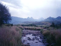 South-Africa---Drakensberg-JDuk.jpg